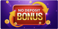 nzdcasinos.com