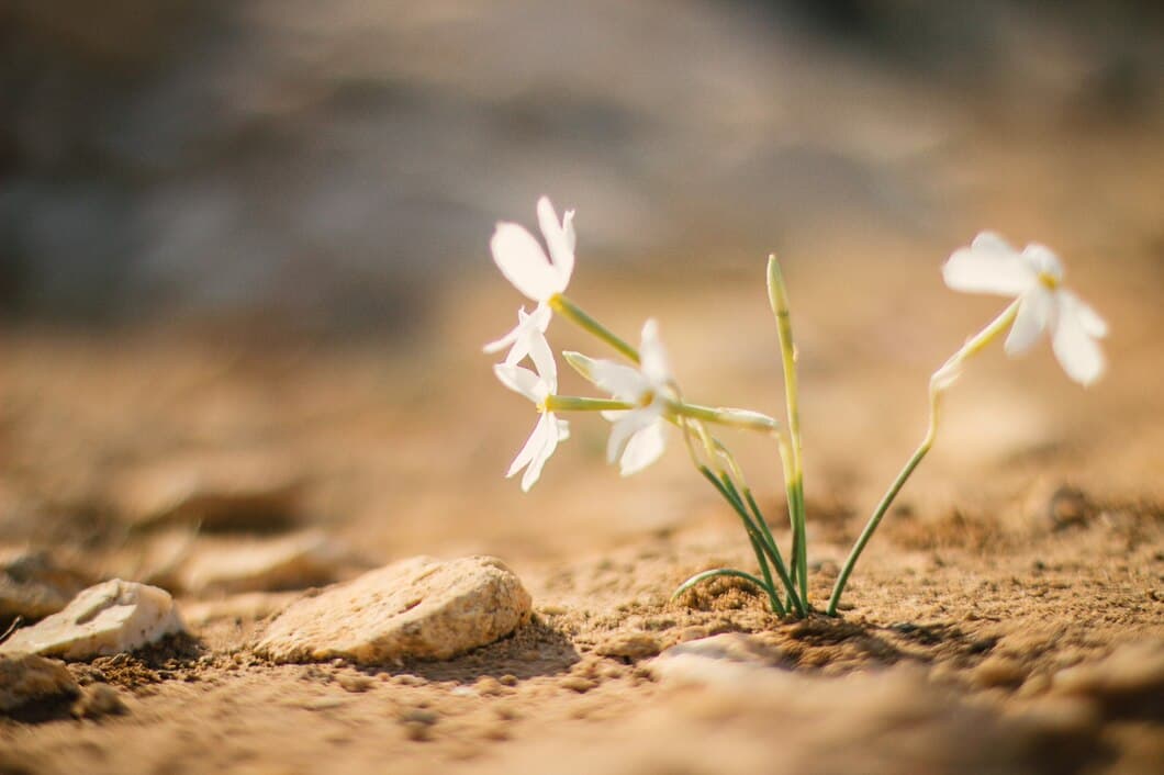 Nature as a Teacher: Leadership Lessons from the Environment